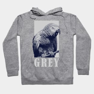 African Grey Parrot Lover Hoodie